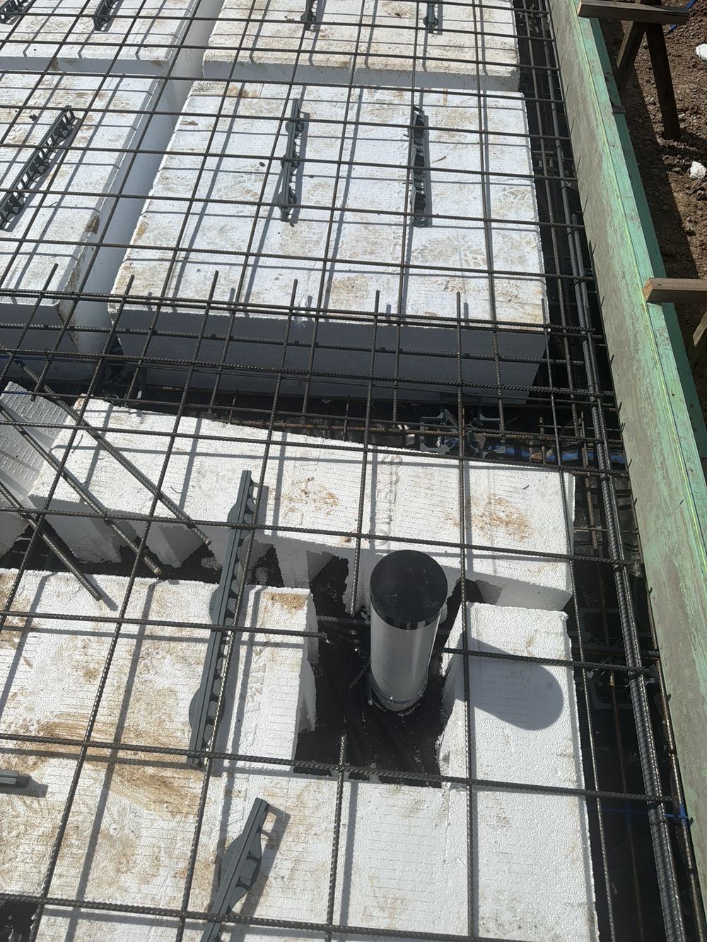 The pipe through the slab and the termite that follows it
